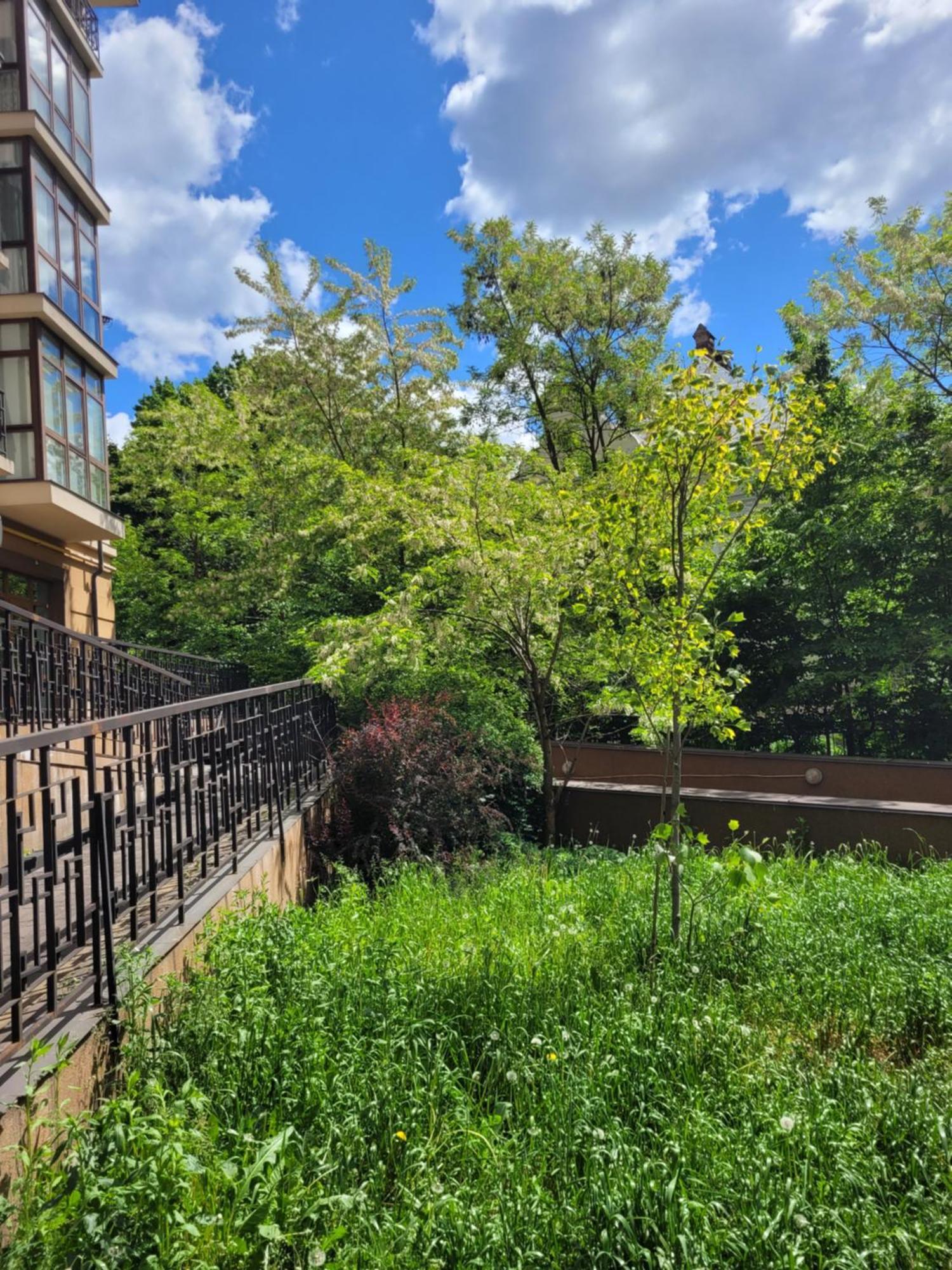 Центр, Біля Медичного Університету, Вулиця Личаківська Lviv Extérieur photo